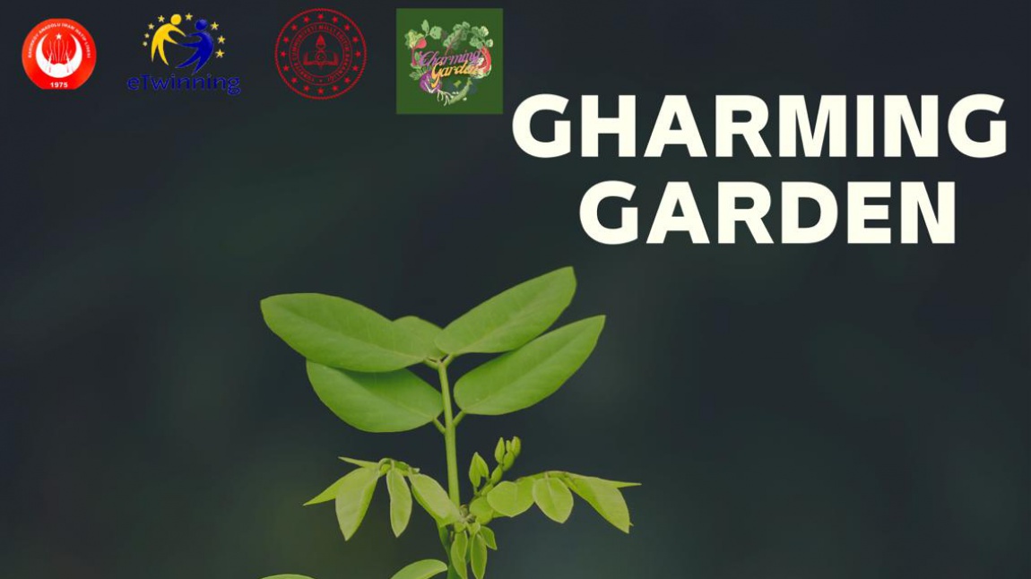 Charming Garden Projesi